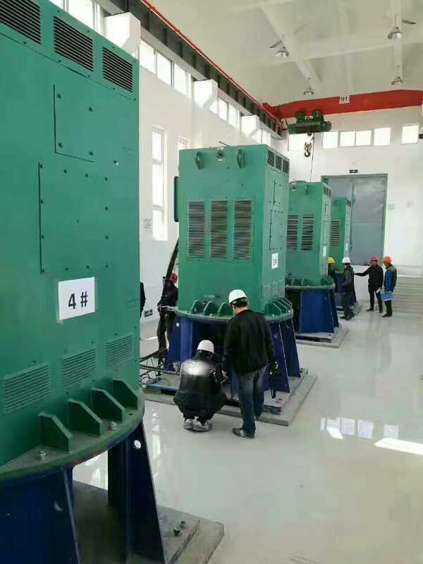 广饶某污水处理厂使用我厂的立式高压电机安装现场